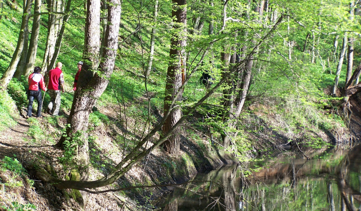 8. fotografia fotogalérie Projekty / Vyčistime si Slovensko - foto