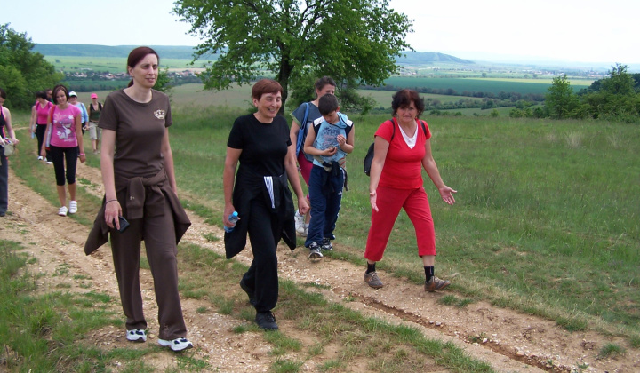 6. fotografia fotogalérie Turistika k ''Százéves Tölgyek''
